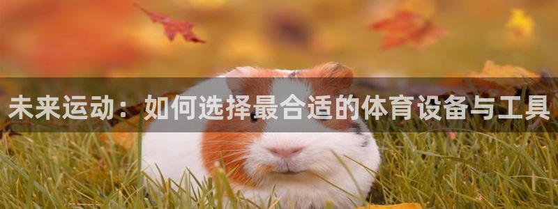 意昂体育4平台假的吗是真的吗吗：未来运动：如何选择最