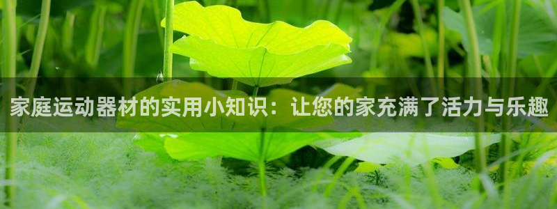 意昂4代理：家庭运动器材的实用小知识：让您的家充满了