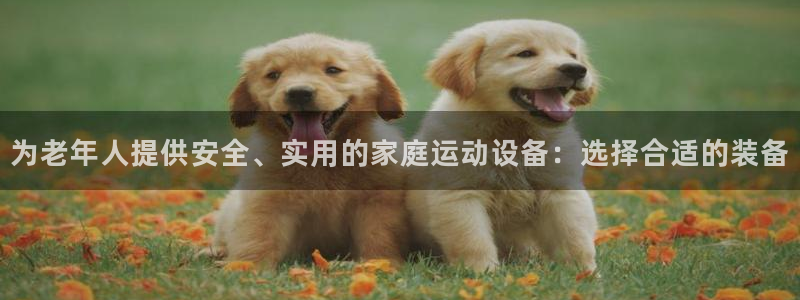 意昂4新能源：为老年人提供安全、实用的家庭运动设备：