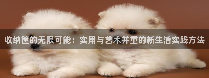 意昂体育4娱乐：收纳筐的无限可能：实用与艺术并重的新