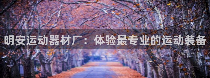 注册意昂4：明安运动器材厂：体验最专业的运动装备