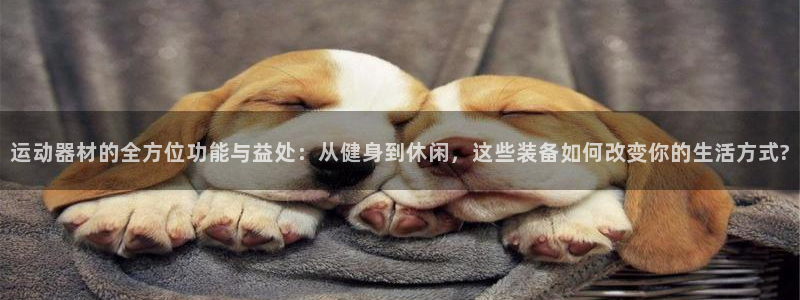意昂4娱乐下载：运动器材的全方位功能与益处：从健身到
