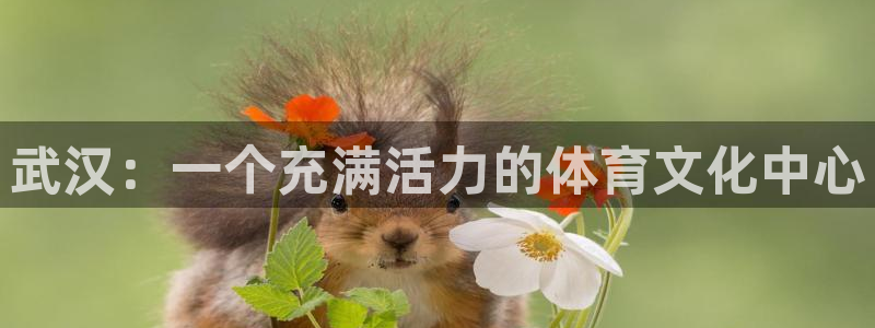 意昂4官方：武汉：一个充满活力的体育文化中心