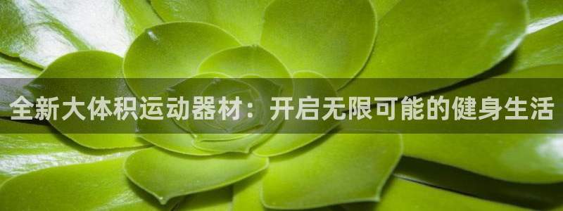 意昂体育4招商电话是多少：全新大体积运动器材：开启无