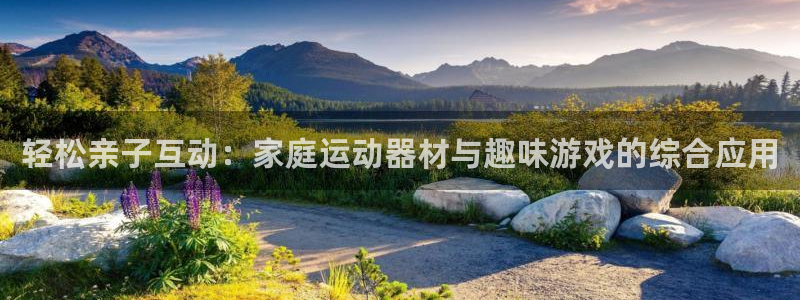 意昂4集团官网首页：轻松亲子互动：家庭运动器材与趣味