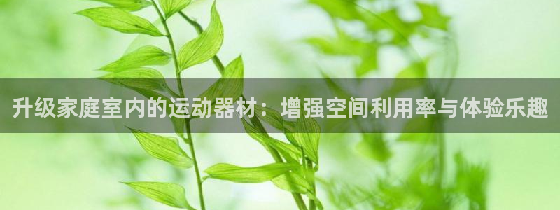 意昂体育4招商电话是多少啊：升级家庭室内的运动器材：