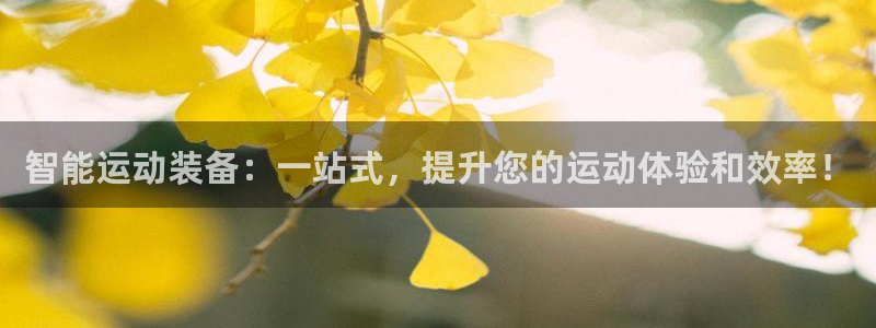 意昂体育4招商：智能运动装备：一站式，提升您的运动体