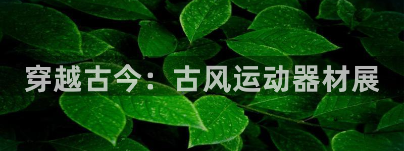 意昂体育4开户：穿越古今：古风运动器材展