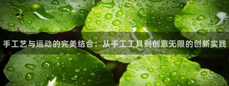 意昂4神州：手工艺与运动的完美结合：从手工工具到创意无限的创