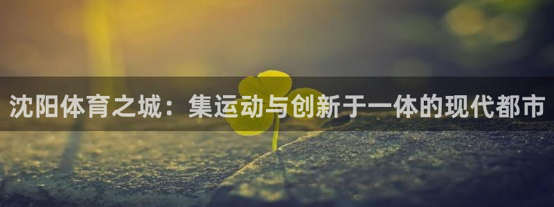 意昂4娱乐下载：沈阳体育之城：集运动与创新于一体的现