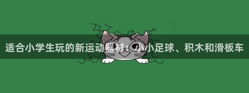 意昂4新能源：适合小学生玩的新运动器材：小小足球、积木和滑板