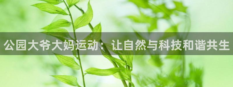 意昂体育4是干嘛的公司：公园大爷大妈运动：让自然与科技和谐共