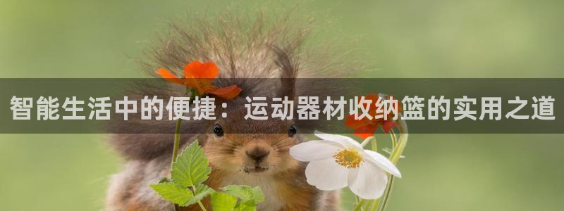 注册意昂4：智能生活中的便捷：运动器材收纳篮的实用之道