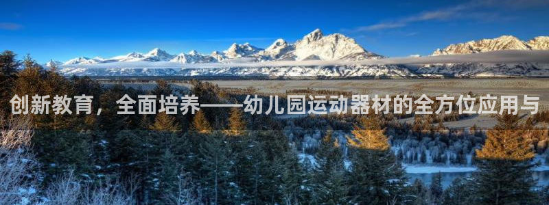 意昂体育4：创新教育，全面培养——幼儿园运动器材的全