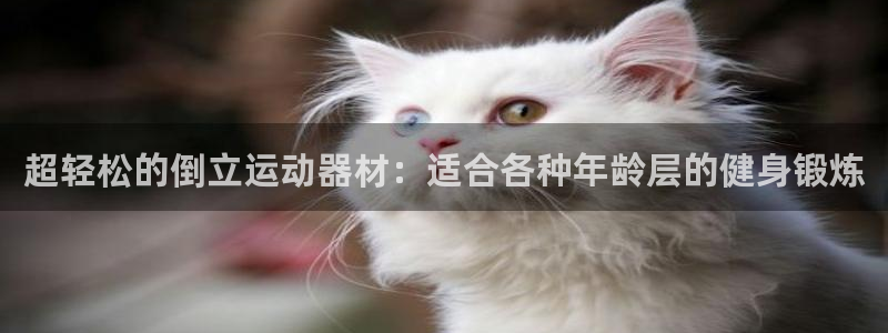 意昂体育4是干嘛的公司