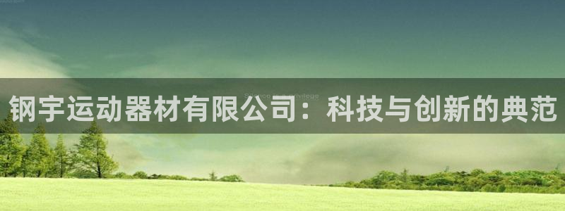 意昂体育4招商电话：钢宇运动器材有限公司：科技与创新的典范