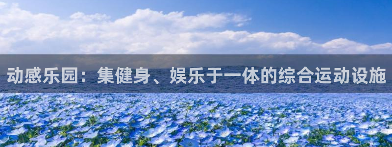 意昂平台体育：动感乐园：集健身、娱乐于一体的综合运动设施